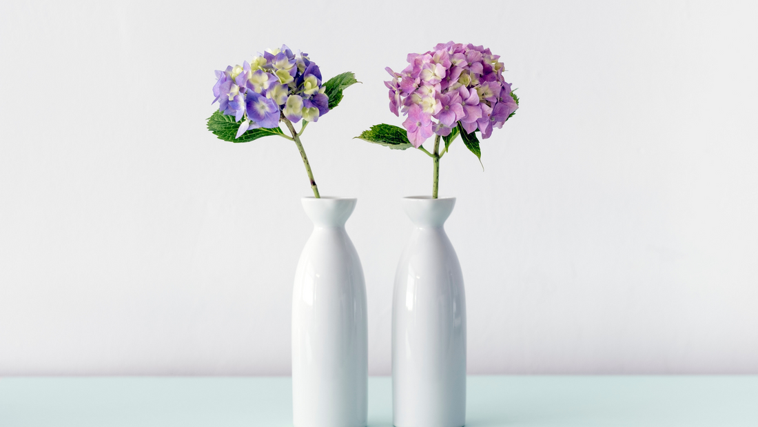 Caring for your fresh flowers