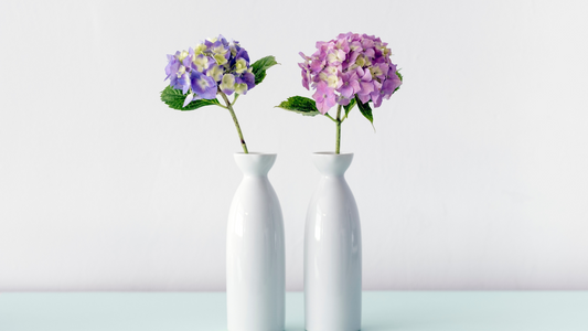 Caring for your fresh flowers