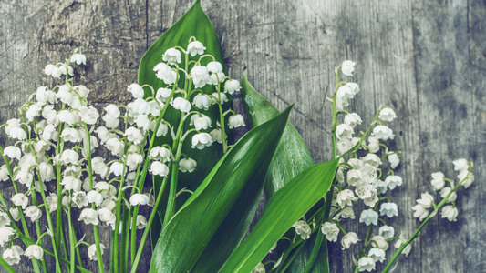 Flower of the Month: May