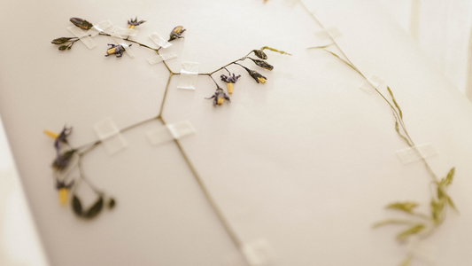 How to reuse your flowers