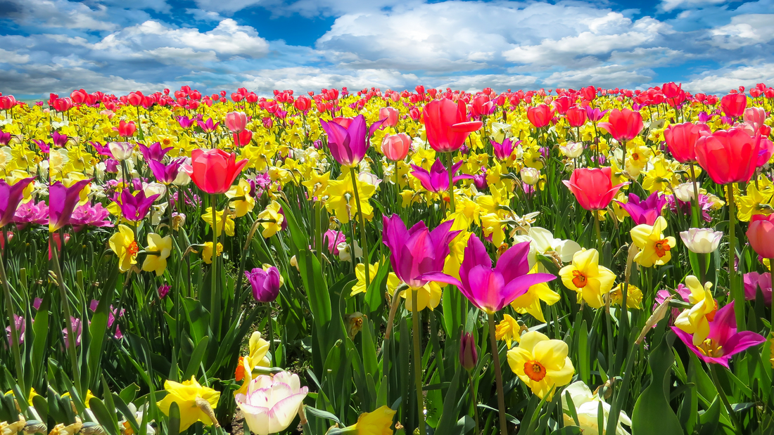 What’s in season in spring 2022?