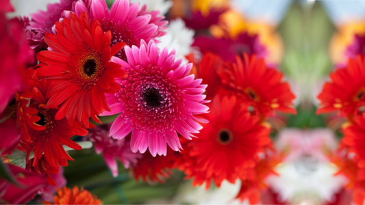 Floral Trends for 2023