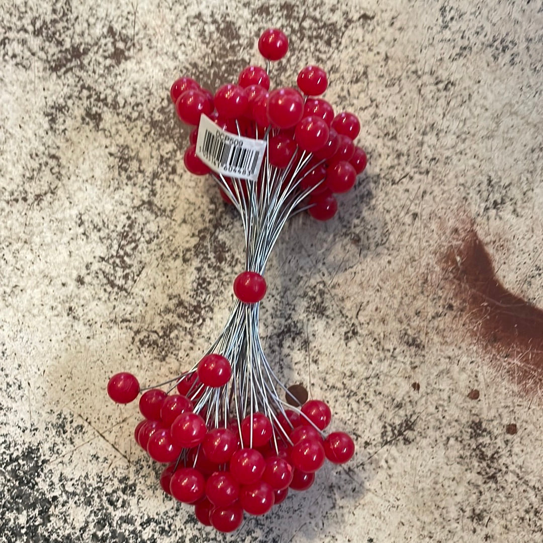 Berries