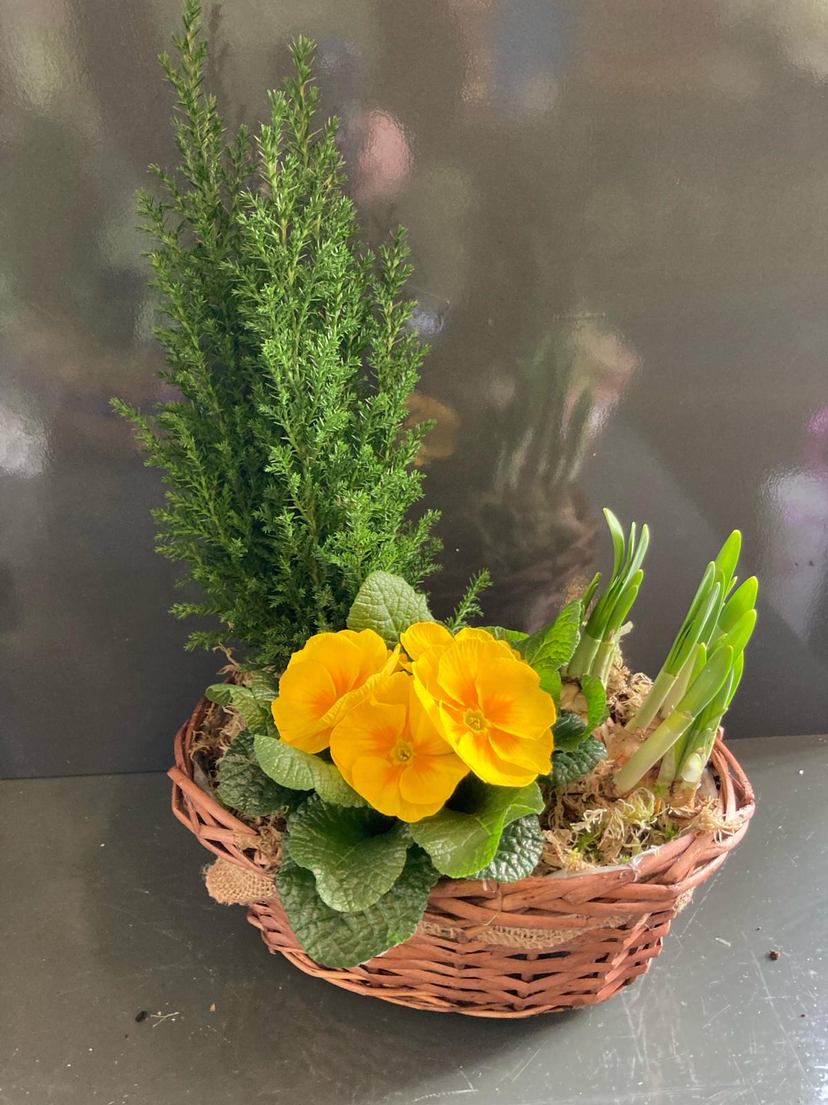 Spring Planted Basket