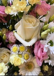 Florist's Choice - Neutrals