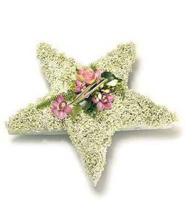 5 Pointed Star