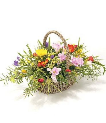 Basket of Mixed Freesias