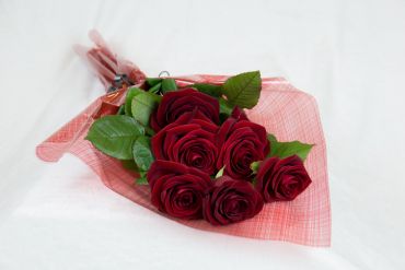 6 Red Roses