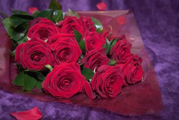 12 Red Rose Bouquet