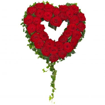 Open Red Rose Heart