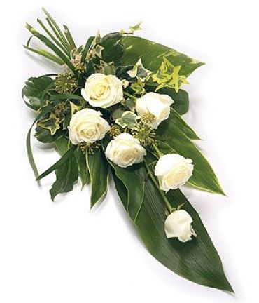 6 or 12 Rose Sheaf - White