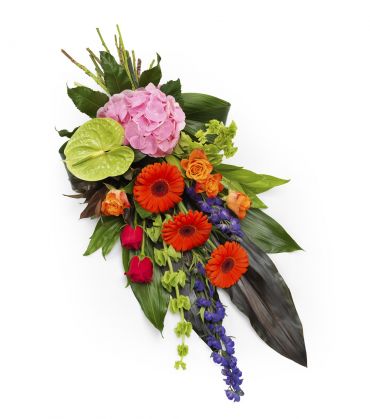 Vibrant Sheaf