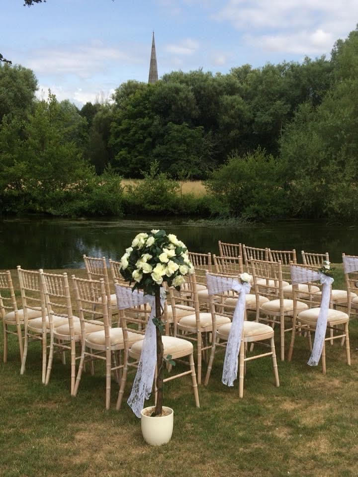 Tall white rose bushes