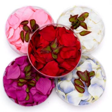 Silk Rose Petal Box